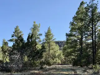 R211158 County Road 12 / Box S Rd 