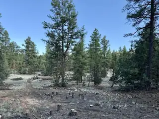 R211158 County Road 12 / Box S Rd 