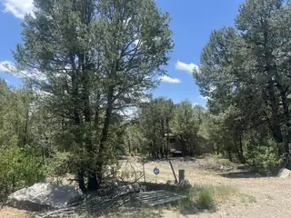 17 MICHELLE Court, Edgewood 