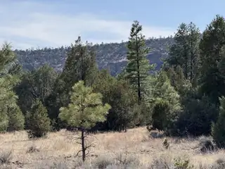 Lot 21 Cottonwood Lane 