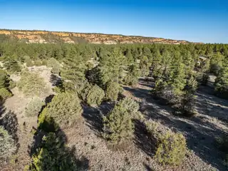 Lot 21 Cottonwood Lane 