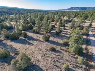 Lot 21 Cottonwood Lane 