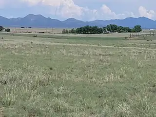 7 Colella Road, Stanley 