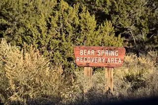 1747 DEER CANYON Trail 