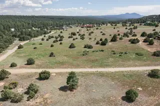 25 MOCKINGBIRD HILL Road 