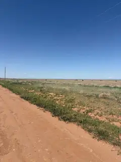 Bluegrass Rd Tract 1S 