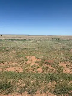 Bluegrass Rd Tract 1S 