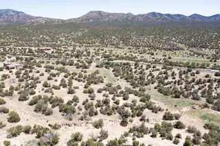 Lot: 24 Stagecoach TR 