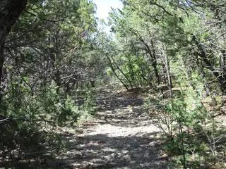 8 & 10 Roadrunner Road 