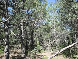 8 & 10 Roadrunner Road 