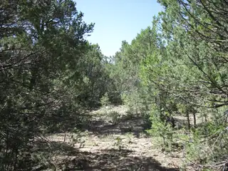 8 & 10 Roadrunner Road 