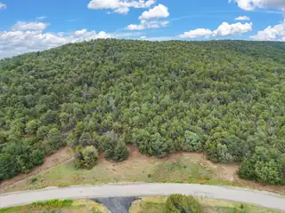 24 ANNE PICKARD Loop 