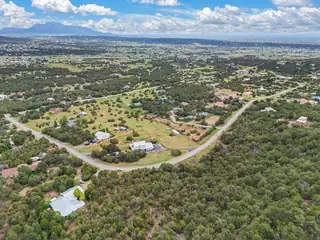 24 ANNE PICKARD Loop 