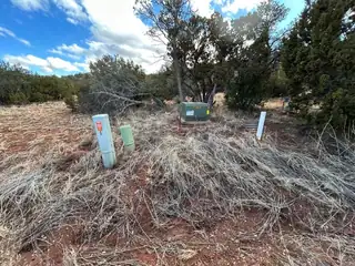 41 Storyteller Court 