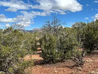 41 Storyteller Court 