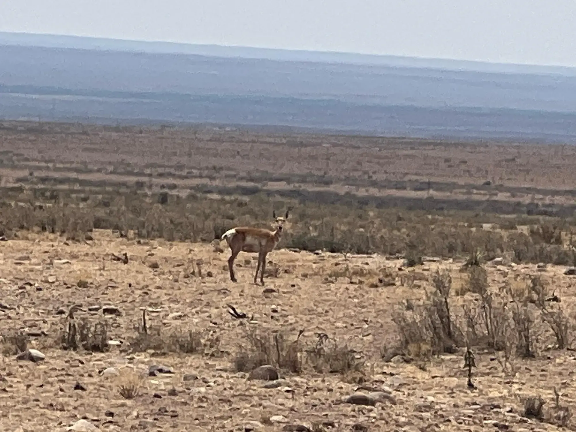 Rolling Hills Lot 47