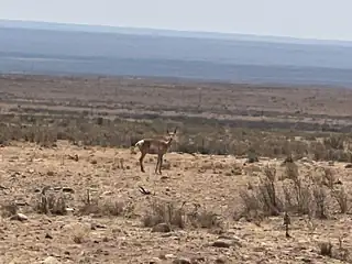 Rolling Hills Lot 47, San Antonio 