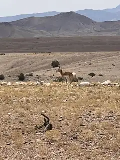 Rolling Hills Lot 47 