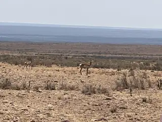 Rolling Hills Lot 47 