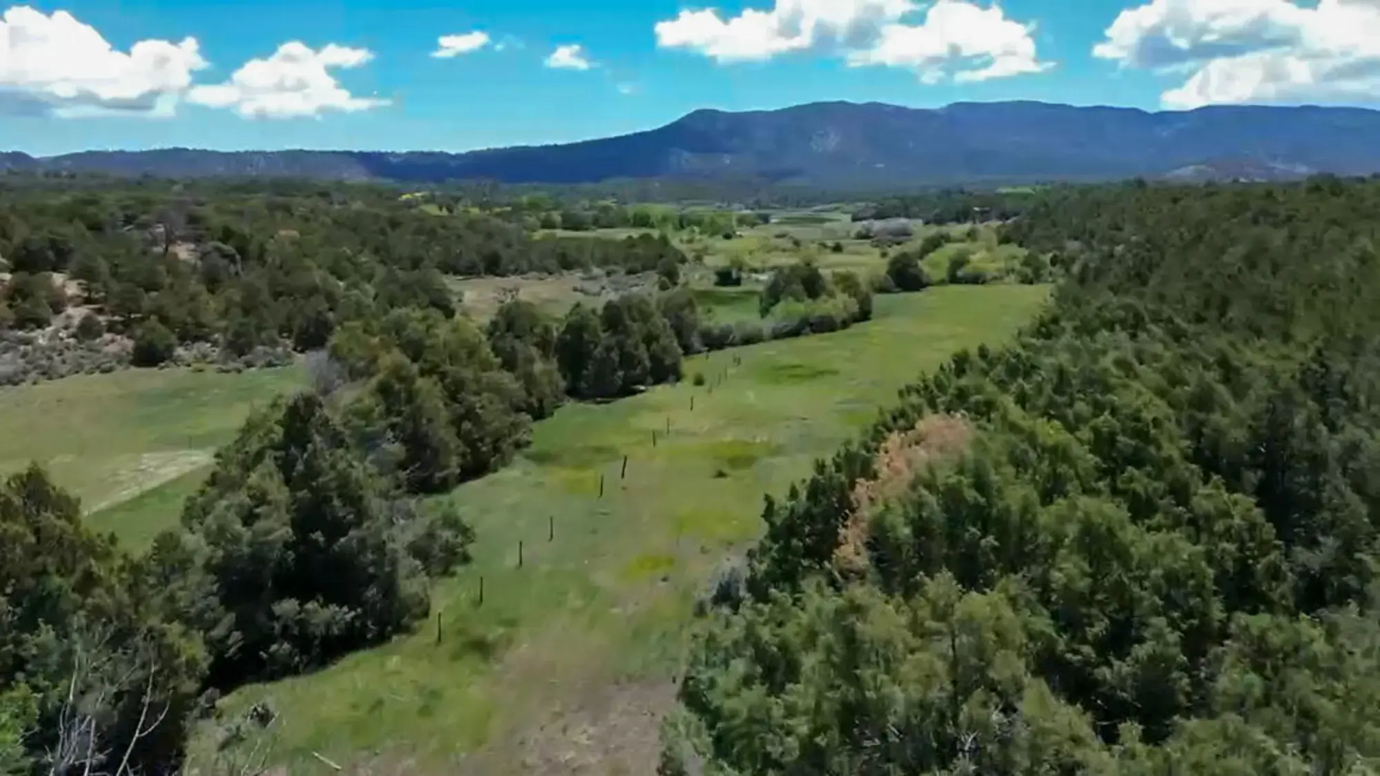 TBD Bear Paw Valley Ranch