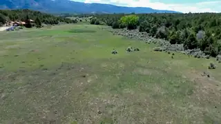 TBD Bear Paw Valley Ranch 