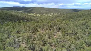 McComb Road, Edgewood 