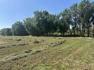 1.26 off NM Highway 116 