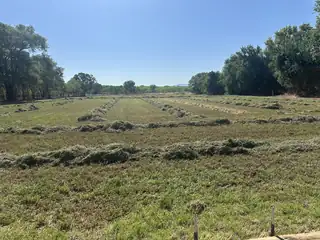 1.26 off NM Highway 116 