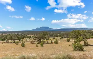 88 Old Stage Road, Pie Town 