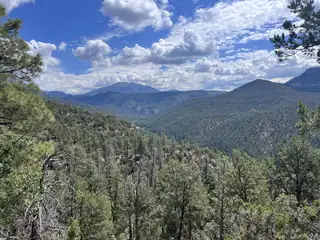 1691 PONDEROSA Drive View