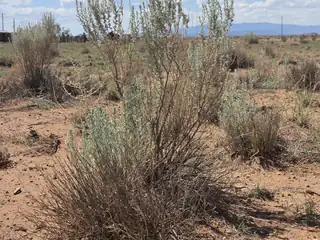 VL Highland Meadows Lot 40E 1/2 U 2 