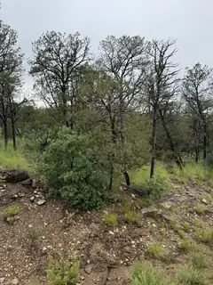 Subd:Bella Vista Lot:FBlock:45 