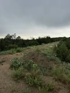 Subd:Bella Vista Lot:FBlock:45 