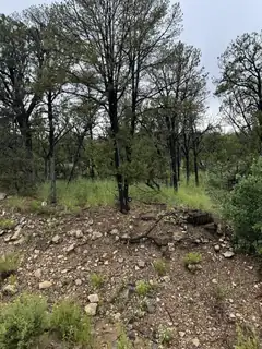 Subd:Bella Vista Lot:FBlock:45 