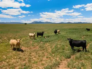 1021 Dinkle Road Road, Stanley 