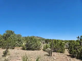 Meadowland Subdivision 