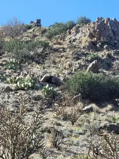 1215/1217 HIDEAWAY Lane SE 