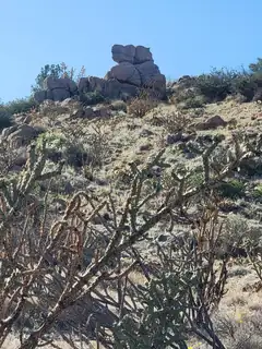 1215/1217 HIDEAWAY Lane SE 