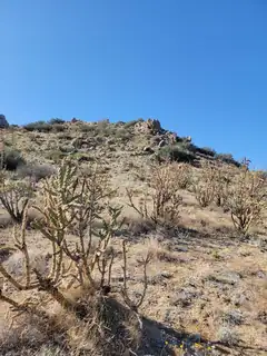 1215/1217 HIDEAWAY Lane SE 