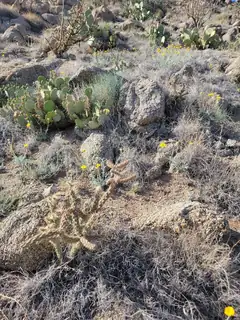 1215/1217 HIDEAWAY Lane SE 