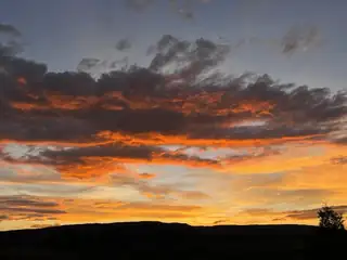 195 Ferguson Road View