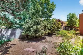 9129 Dempsey Drive NE Backyard