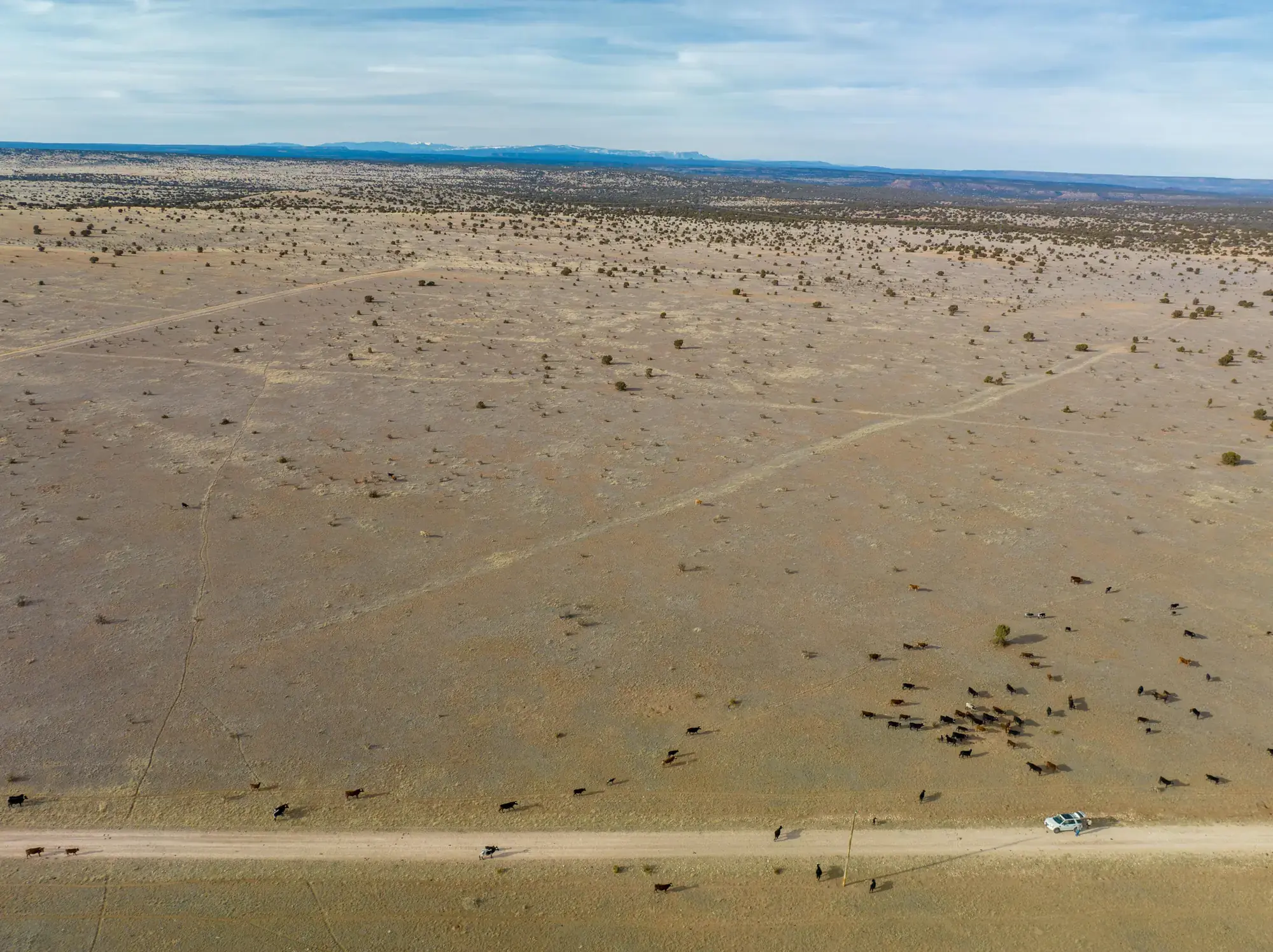 Portillo Creek Ranch
