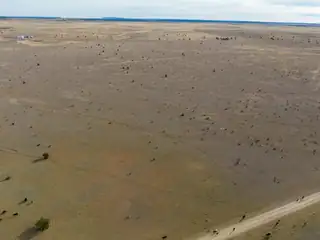 Portillo Creek Ranch 