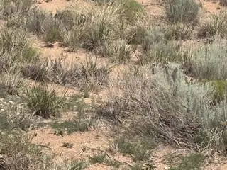 Unit 13 Lot 15 Blk 3 Volcano Cliffs 