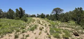 Lot 17 Swayback Trail 