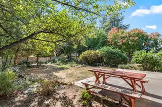 7900 PALO DURO Avenue NE Backyard