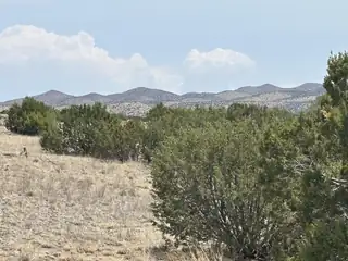 Lot 189 Pinon Springs Ranches 