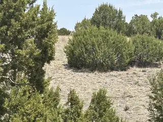 Lot 189 Pinon Springs Ranches 