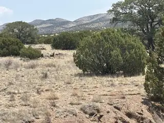 Lot 189 Pinon Springs Ranches 